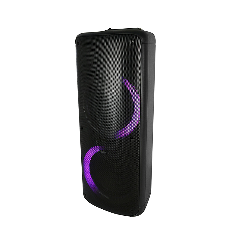 Party Speaker FK221