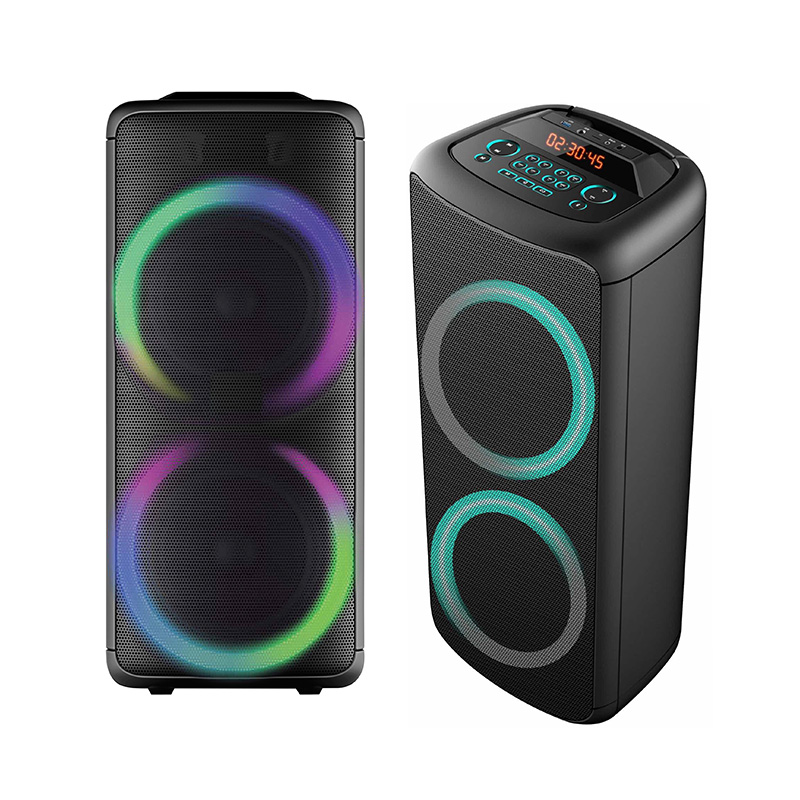 Party Speaker FK221