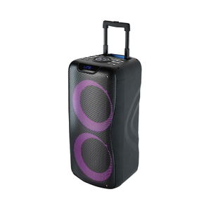 Party Speaker BM-105