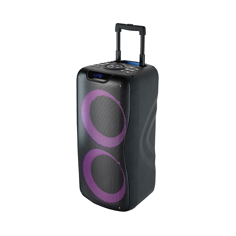 Party Speaker BM-105