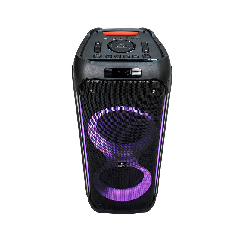 Party Speaker BM107