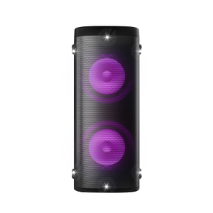 Party Speaker GR-33