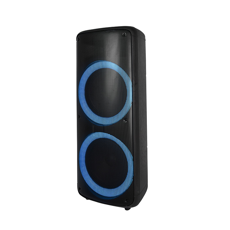 Party Speaker FK221